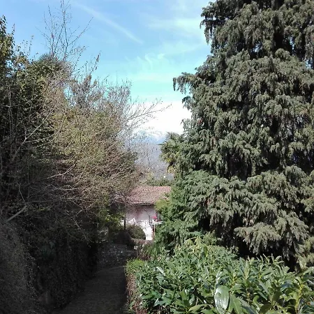 Giardino Delle Palme *