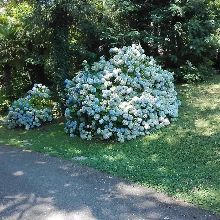 Giardino Delle Palme Apartament *